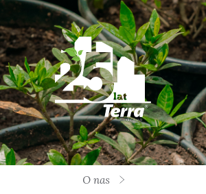 <span>25 lat</span>Terra Group